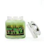 Kép 2/3 - Cheerful Candle® After the Rain közepes üveggyertya 454 g