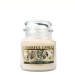 Kép 1/3 - Cheerful Candle® White Pinecone közepes üveggyertya 454 g