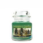 Kép 1/4 - Cheerful Candle® Balsam Fir közepes üveggyertya 454 g