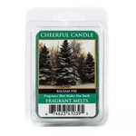 Kép 1/4 - Cheerful Candle® Balsam Fir mini viasz