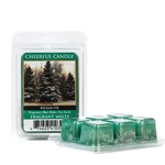 Kép 2/4 - Cheerful Candle® Balsam Fir mini viasz 55 g