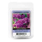 Kép 1/4 - Cheerful Candle® Cheerful Candle® Lilacs in Bloom mini viasz 55 g