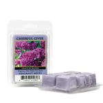 Kép 2/4 - Cheerful Candle® Lilacs in Bloom mini viasz 55 g