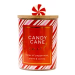 Kép 1/3 - Cheerful Candle® Seasonal Candy Cane Swirl közepes gyertya 283 g
