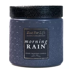 Kép 1/2 - Cheerful Candle® Zest for Life Morning Rain nagy gyertya 794 g