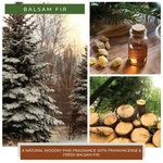 Kép 3/4 - Cheerful Candle® Balsam Fir mini viasz 55 g