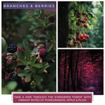 Kép 4/4 - Cheerful Candle® Branches & Berries nagy üveggyertya 680 g