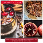 Kép 3/3 - Cheerful Candle® Cranapple Toddy nagy üveggyertya 680 g