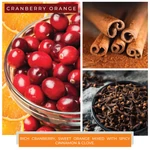 Kép 3/4 - Cheerful Candle® Cranberry Orange mini viasz 55 g