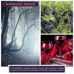Kép 3/3 - Cheerful Candle® Midnight Grove nagy üveggyertya 680 g