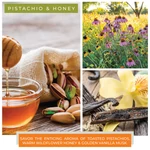 Kép 3/3 - Cheerful Candle® Pistachio & Honey közepes üveggyertya 454 g