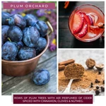 Kép 3/3 - Cheerful Candle® Plum Orchard közepes üveggyertya 454 g
