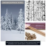 Kép 3/3 - Cheerful Candle® Snowcapped Pine nagy üveggyertya 680 g
