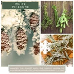 Kép 3/3 - Cheerful Candle® White Pinecone közepes üveggyertya 454 g