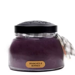 Kép 1/4 - Keepers of the Light® Keepers of the Light® Branches &amp; Berries közepes üveggyertya 624 g