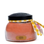 Kép 1/3 - Keepers of the Light® Aperol Spritz közepes üveggyertya 624 g