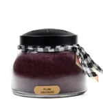 Kép 1/3 - Keepers of the Light® Keepers of the Light® Plum Orchard közepes üveggyertya 624 g