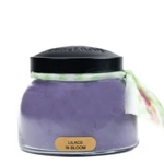 Kép 1/3 - Keepers of the Light® Keepers of the Light® Lilacs in Bloom közepes üveggyertya 624 g