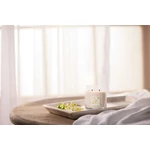 Kép 2/3 - Yankee Candle® Slow Bloom Signature közepes üveggyertya 368 g