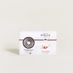 Kép 5/6 - Maison Berger Paris® Chrome Metal Exquisite Sparkle autós illatdiffúzor szett