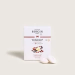 Kép 1/3 - Maison Berger Paris Amber Powder autós illatdiffúzor utántöltő