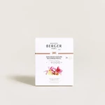 Kép 3/3 - Maison Berger Paris® Amber's Sun autós illatdiffúzor utántöltő