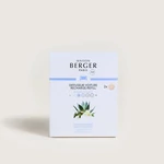 Kép 3/3 - Maison Berger Paris® Agaves Garden autós illatdiffúzor utántöltő