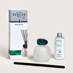 Kép 5/6 - Maison Berger Paris® Frosted Mineral 180 ml diffúzor