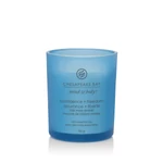 Kép 2/2 - Chesapeake Bay Candle® confidence + freedom (oak moss amber) kis üveggyertya 96 g