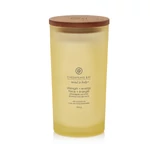 Kép 1/4 - Chesapeake Bay Candle® strength + energy (pineapple coconut) nagy üveggyertya
