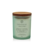 Kép 1/2 - Chesapeake Bay Candle® balance + harmony (waterlily pear) kis üveggyertya