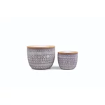 Kép 2/2 - Paddywax™ Wildflowers & Birch Sonora kis gyertya 85 g