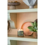 Kép 3/6 - Yankee Candle® Olive & Cypress Signature közepes üveggyertya 368 g