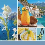 Kép 2/4 - Yankee Candle® Azure Sky Signature közepes üveggyertya 368 g