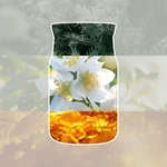 Kép 2/2 - Yankee Candle® Silver Birch Signature kis üveggyertya 110 g