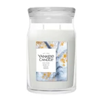 Kép 1/2 - Yankee Candle® Silver Birch Signature nagy üveggyertya 567 g