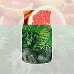 Kép 3/3 - Yankee Candle® White Spruce & Grapefruit Signature kis üveggyertya 110 g