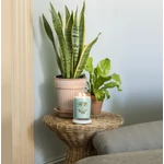 Kép 4/7 - Yankee Candle® Aloe & Agave Signature nagy üveggyertya 567 g