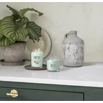 Kép 5/7 - Yankee Candle® Aloe & Agave Signature nagy üveggyertya 567 g