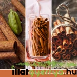 Kép 4/4 - Cinnamon Stick Signature közepes üveggyertya 368 g