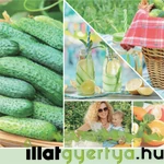 Kép 2/3 - Cucumber Mint Cooler Signature nagy üveggyertya 567 g