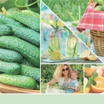 Kép 3/3 - Yankee Candle® Cucumber Mint Cooler Signature közepes üveggyertya 368 g