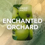 Kép 4/6 - Yankee Candle® Enchanted Orchard üveges mintagyertya 37 g