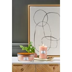 Kép 5/8 - WoodWick® Manuka Nectar hajógyertya 453 g