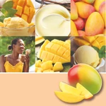 Kép 4/7 - Yankee Candle® Mango Ice Cream Signature nagy poharas gyertya 567 g