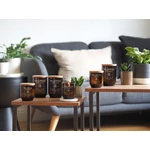 Kép 7/8 - WoodWick® Tomato Leaf & Basil ReNew nagy üveggyertya 368 g