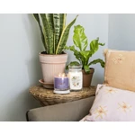 Kép 5/6 - Yankee Candle® Sweet Vanilla Horchata Signature nagy üveggyertya 567 g