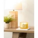 Kép 2/2 - Chesapeake Bay Candle® strength + energy (pineapple coconut) három kanócos üveggyertya 312 g