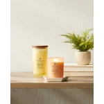 Kép 3/4 - Chesapeake Bay Candle® strength + energy (pineapple coconut) nagy üveggyertya 355 g