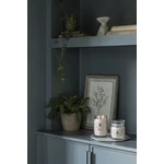 Kép 3/3 - Yankee Candle® Woodland Weekend Memories Signature közepes üveggyertya 368 g